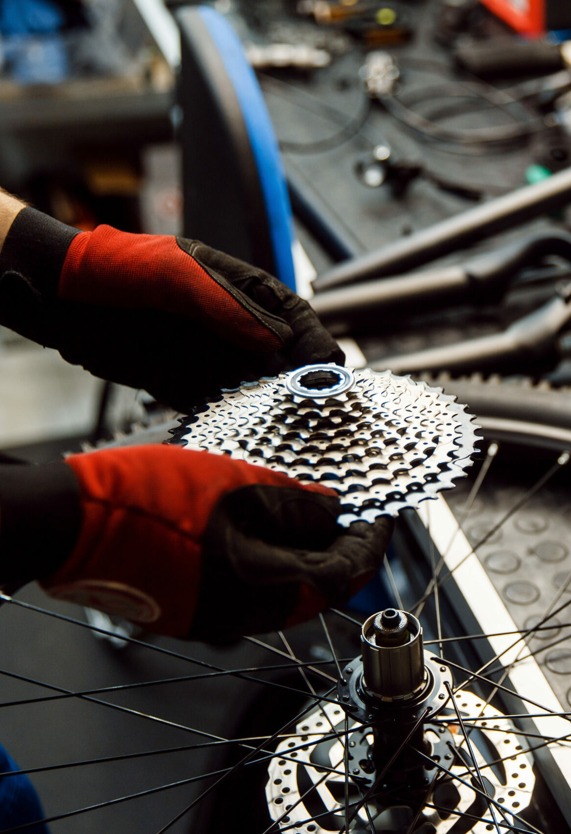 Vélo Bassin d'Arcachon